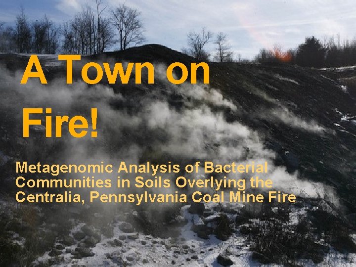 A Town on Fire! Metagenomic Analysis of Bacterial Communities in Soils Overlying the Centralia,