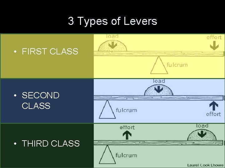 3 Types of Levers • FIRST CLASS • SECOND CLASS • THIRD CLASS 