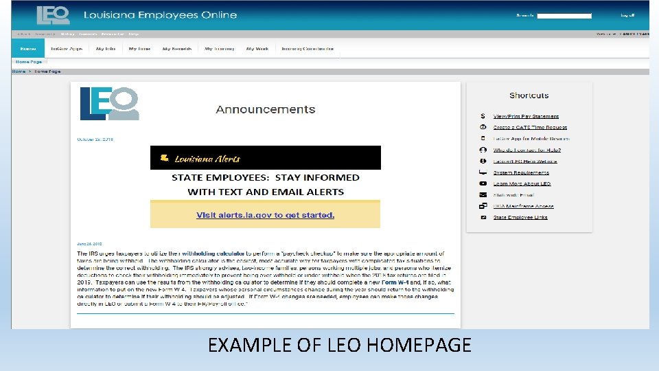 EXAMPLE OF LEO HOMEPAGE EXAMPLE OF LEO HOMEPAGE