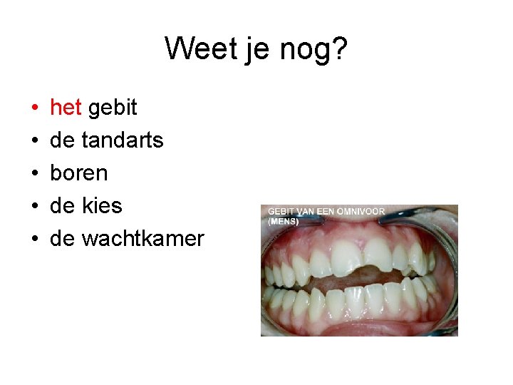 Weet je nog? • • • het gebit de tandarts boren de kies de