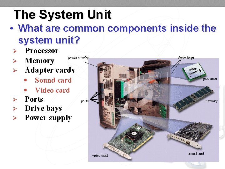 The System Unit • What are common components inside the system unit? Ø Ø