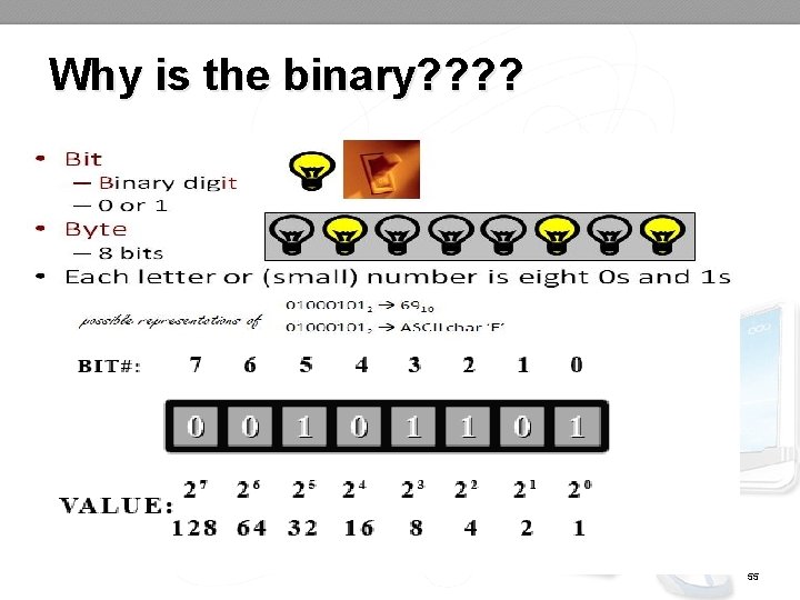 Why is the binary? ? 55 