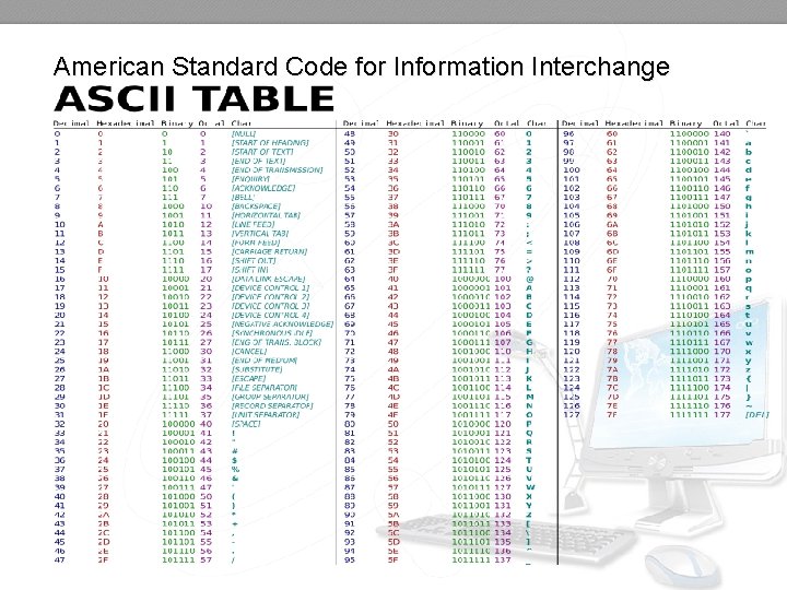 American Standard Code for Information Interchange 