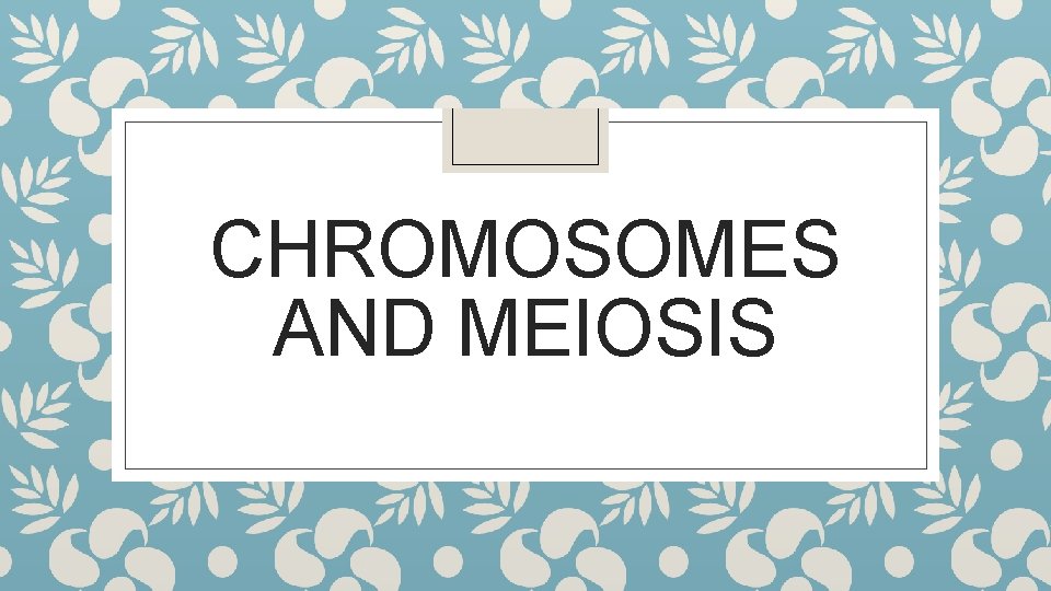 CHROMOSOMES AND MEIOSIS 