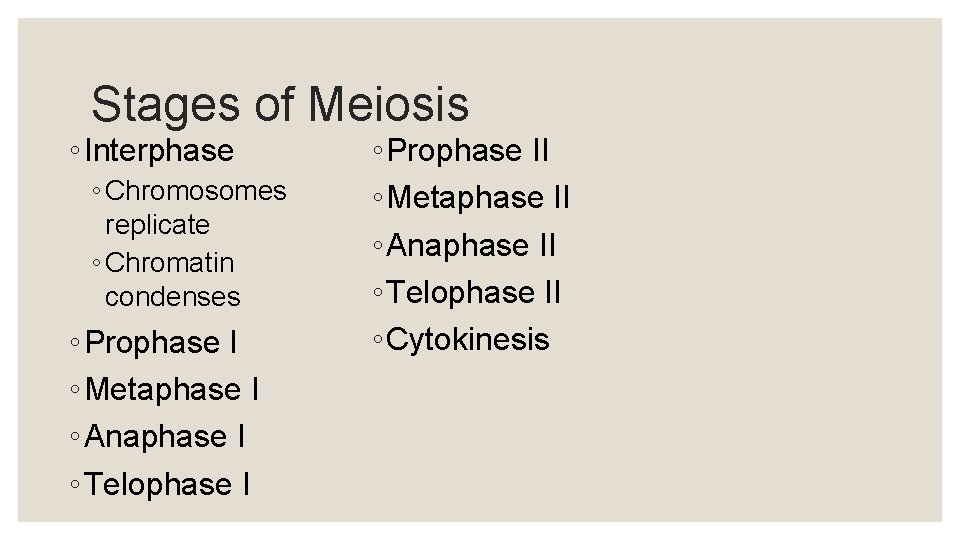 Stages of Meiosis ◦ Interphase ◦ Chromosomes replicate ◦ Chromatin condenses ◦ Prophase I