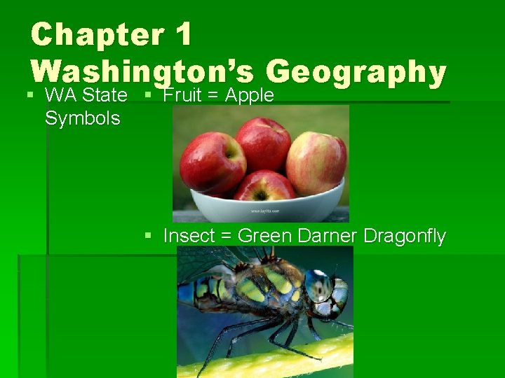 Chapter 1 Washington’s Geography § WA State § Fruit = Apple Symbols § Insect