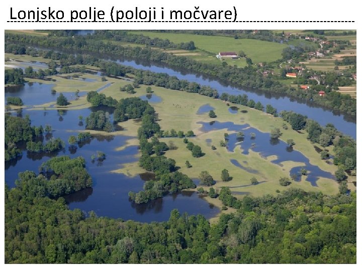 Lonjsko polje (poloji i močvare) 