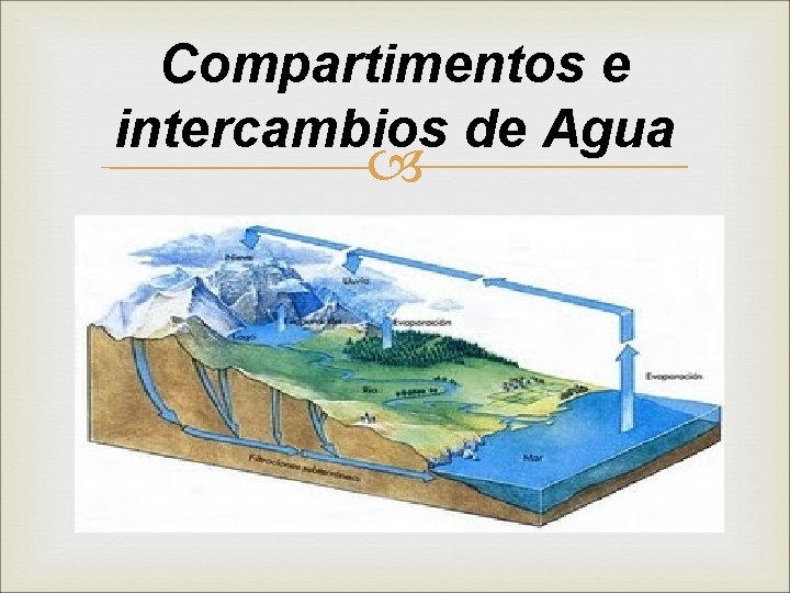 Compartimentos e intercambios de Agua 