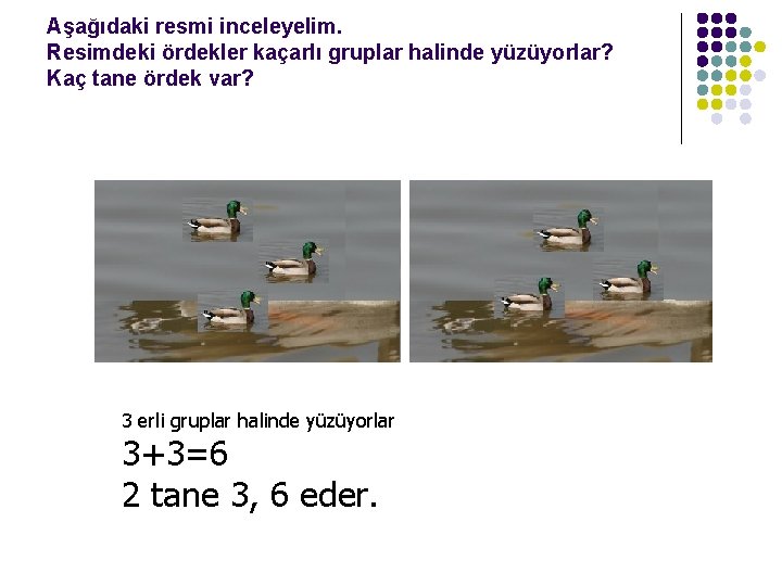 Aşağıdaki resmi inceleyelim. Resimdeki ördekler kaçarlı gruplar halinde yüzüyorlar? Kaç tane ördek var? 3