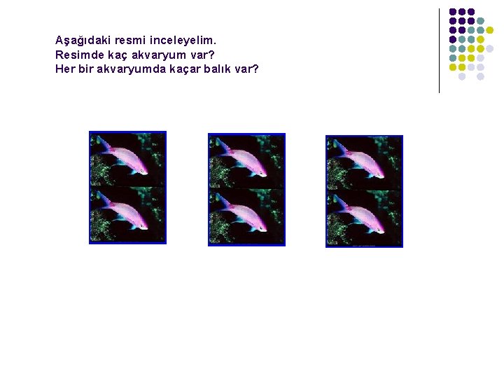 Aşağıdaki resmi inceleyelim. Resimde kaç akvaryum var? Her bir akvaryumda kaçar balık var? 