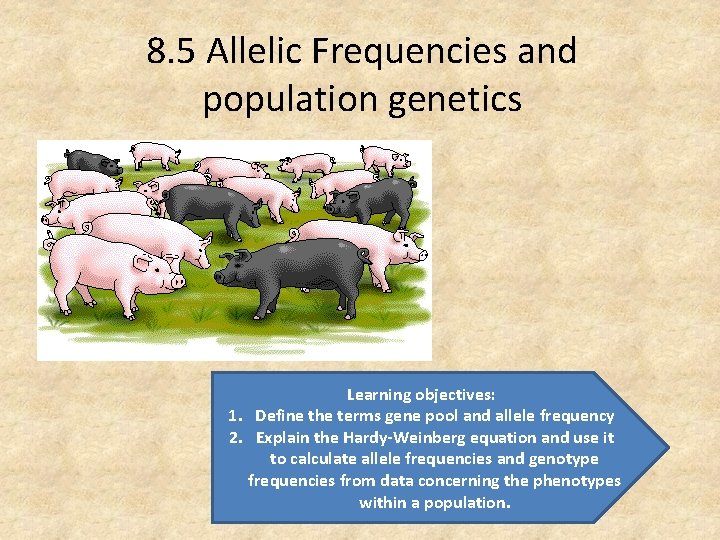 8. 5 Allelic Frequencies and population genetics Learning objectives: 1. Define the terms gene