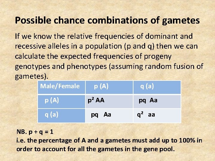 Possible chance combinations of gametes If we know the relative frequencies of dominant and