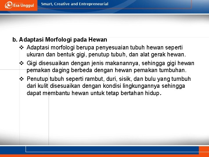 b. Adaptasi Morfologi pada Hewan v Adaptasi morfologi berupa penyesuaian tubuh hewan seperti ukuran