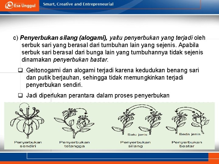 c) Penyerbukan silang (alogami), yaitu penyerbukan yang terjadi oleh serbuk sari yang berasal dari