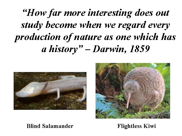 “How far more interesting does out study become when we regard every production of “How far more interesting does out study become when we regard every production of