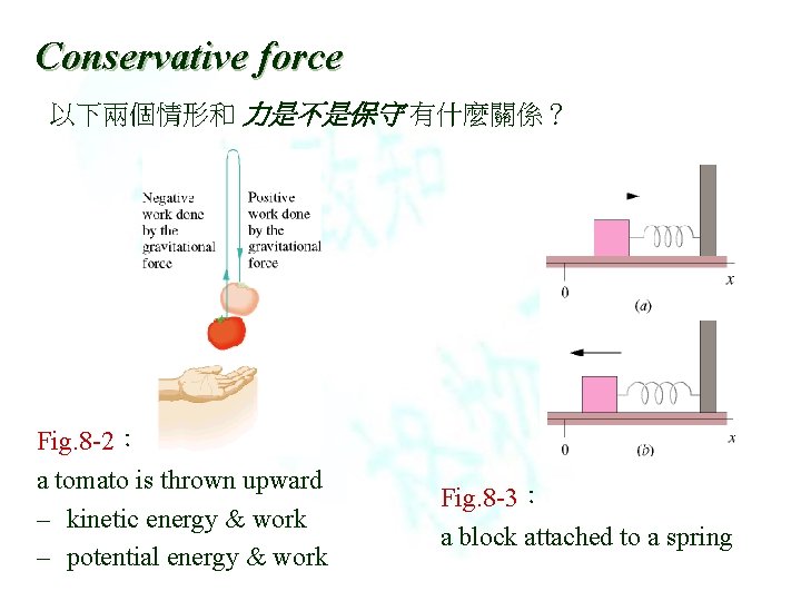 Conservative force 以下兩個情形和 力是不是保守 有什麼關係？ Fig. 8 -2： a tomato is thrown upward –