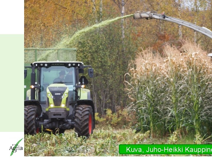 Kuva, Juho-Heikki Kauppine Pro. Agria Keskusten ja Pro. Agria Keskusten Liiton johtamisjärjestelmälle on myönnetty Kuva, Juho-Heikki Kauppine Pro. Agria Keskusten ja Pro. Agria Keskusten Liiton johtamisjärjestelmälle on myönnetty