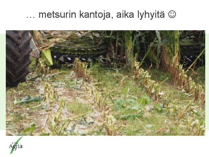 … metsurin kantoja, aika lyhyitä Pro. Agria Keskusten ja Pro. Agria Keskusten Liiton johtamisjärjestelmälle … metsurin kantoja, aika lyhyitä Pro. Agria Keskusten ja Pro. Agria Keskusten Liiton johtamisjärjestelmälle