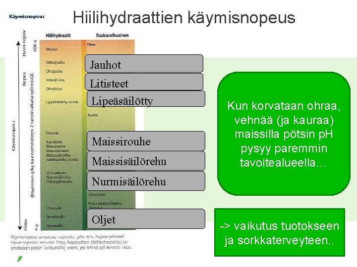 Hiilihydraattien käymisnopeus Jauhot Litisteet Lipeäsäilötty Maissirouhe Maissisäilörehu Kun korvataan ohraa, vehnää (ja kauraa) maissilla