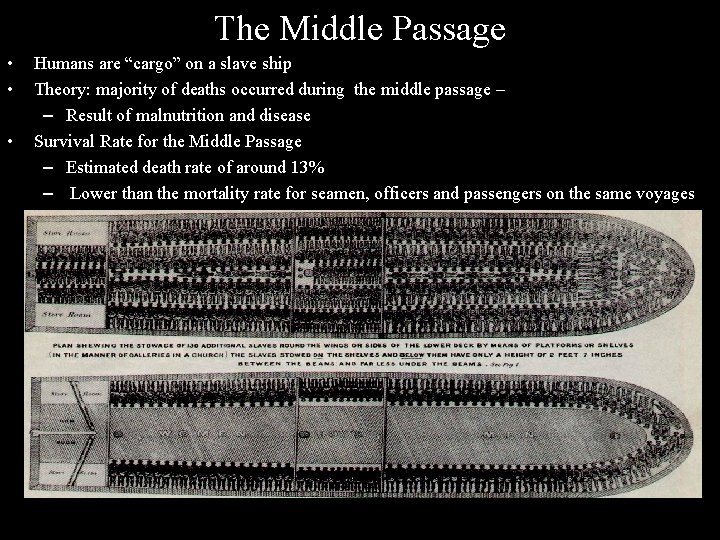 The Middle Passage • • • Humans are “cargo” on a slave ship Theory: