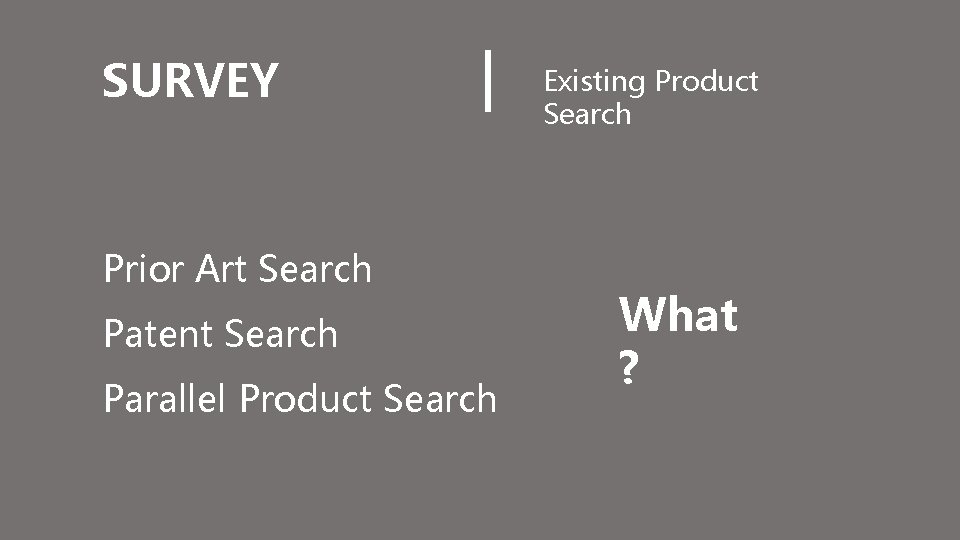 SURVEY Prior Art Search Patent Search Parallel Product Search Existing Product Search What ?