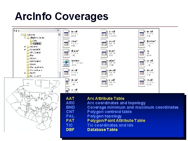 Arc. Info Coverages AAT ARC BND CNT PAL PAT TIC DBF Arc Attribute Table