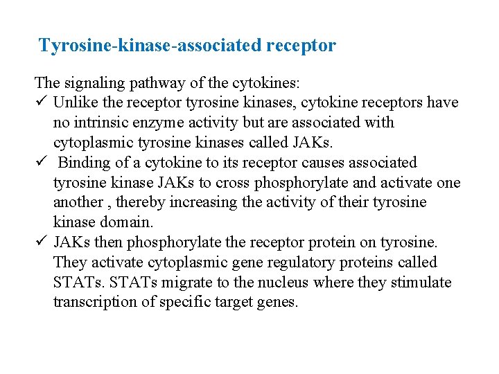 Tyrosine-kinase-associated receptor The signaling pathway of the cytokines: ü Unlike the receptor tyrosine kinases,