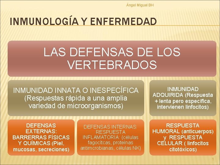 Ángel Miguel BH INMUNOLOGÍA Y ENFERMEDAD LAS DEFENSAS DE LOS VERTEBRADOS INMUNIDAD INNATA O