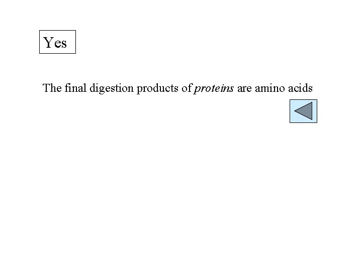 Yes The final digestion products of proteins are amino acids 