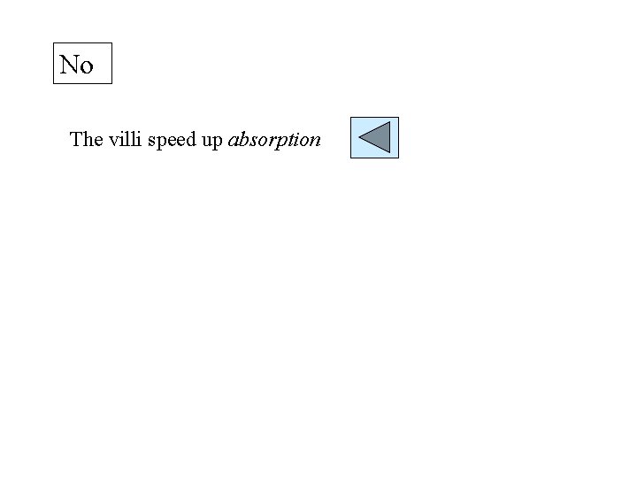 No The villi speed up absorption 