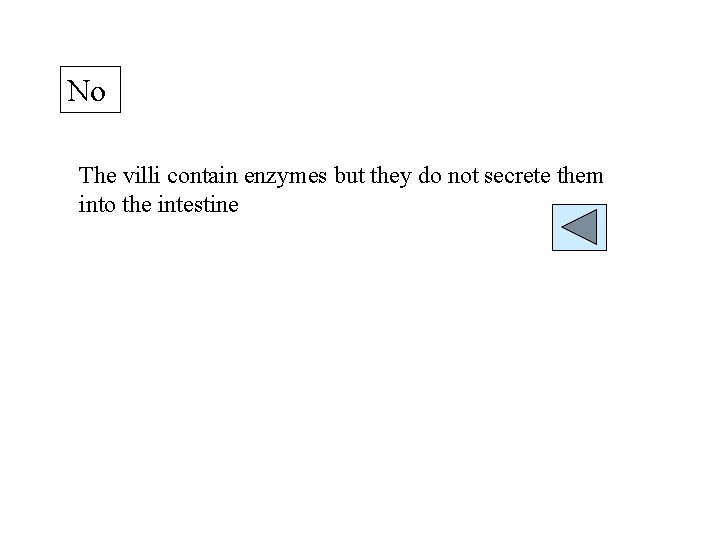 No The villi contain enzymes but they do not secrete them into the intestine