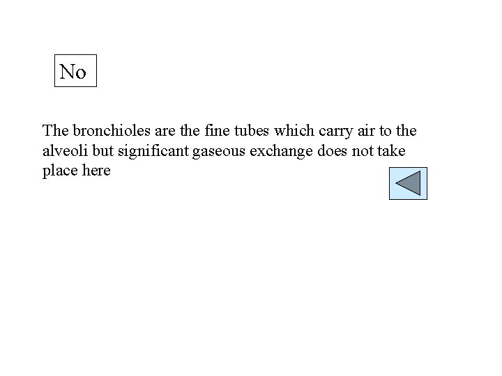 No The bronchioles are the fine tubes which carry air to the alveoli but