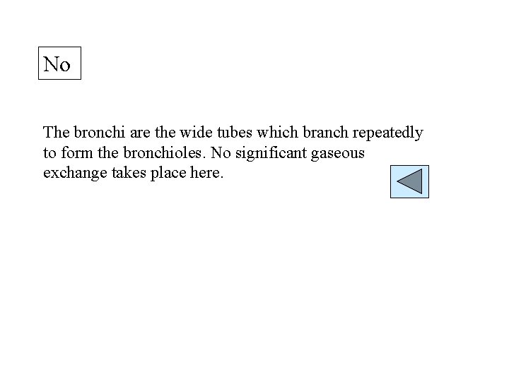 No The bronchi are the wide tubes which branch repeatedly to form the bronchioles.