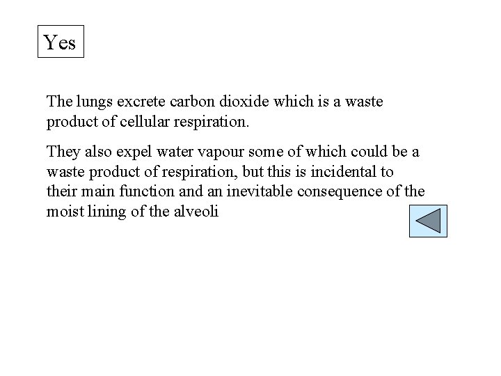 Yes The lungs excrete carbon dioxide which is a waste product of cellular respiration.