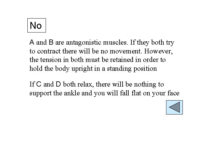 No A and B are antagonistic muscles. If they both try to contract there