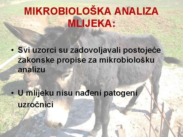 MIKROBIOLOŠKA ANALIZA MLIJEKA: • Svi uzorci su zadovoljavali postojeće zakonske propise za mikrobiološku analizu