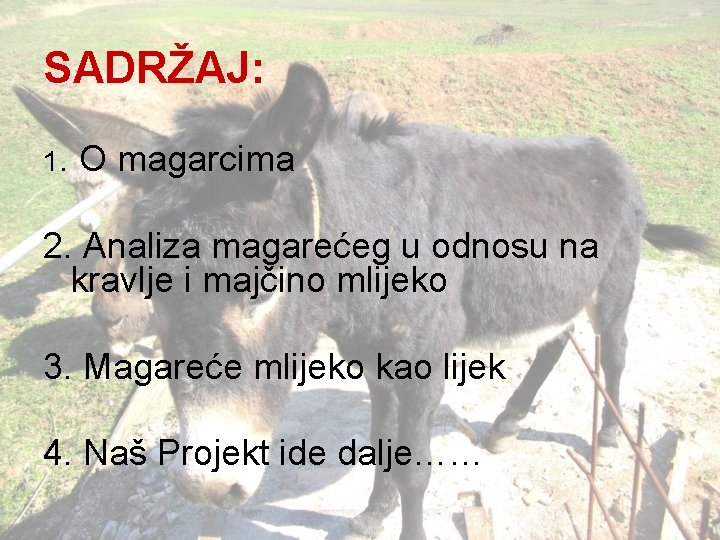 SADRŽAJ: 1. O magarcima 2. Analiza magarećeg u odnosu na kravlje i majčino mlijeko