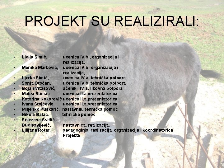 PROJEKT SU REALIZIRALI: • • • Lidija Šimić, učenica IV. b , organizacija i