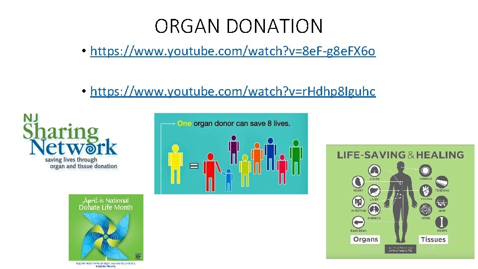 ORGAN DONATION • https: //www. youtube. com/watch? v=8 e. F-g 8 e. FX 6