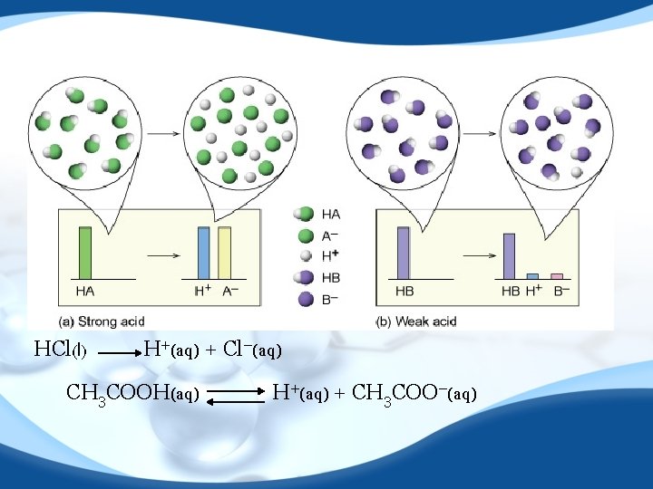 HCl(l) H+(aq) + Cl−(aq) CH 3 COOH(aq) H+(aq) + CH 3 COO−(aq) 