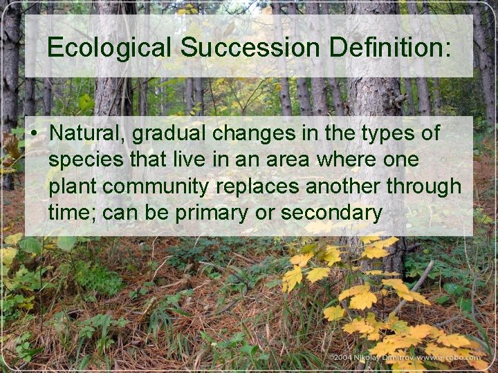 Ecological Succession Definition: • Natural, gradual changes in the types of species that live