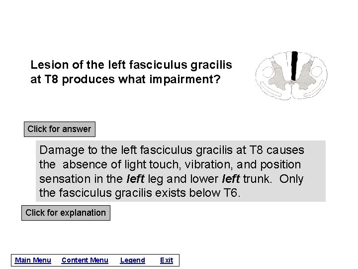 Lesion of the left fasciculus gracilis at T 8 produces what impairment? Click for