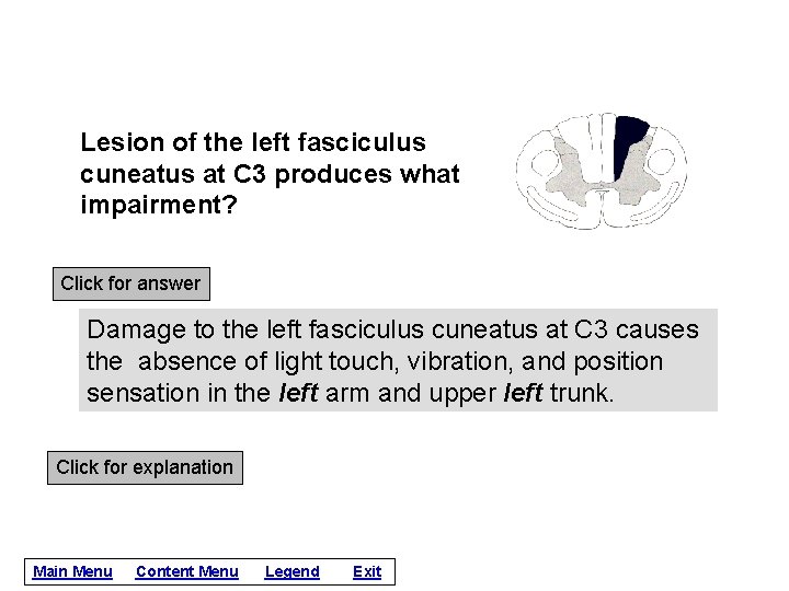 Lesion of the left fasciculus cuneatus at C 3 produces what impairment? Click for