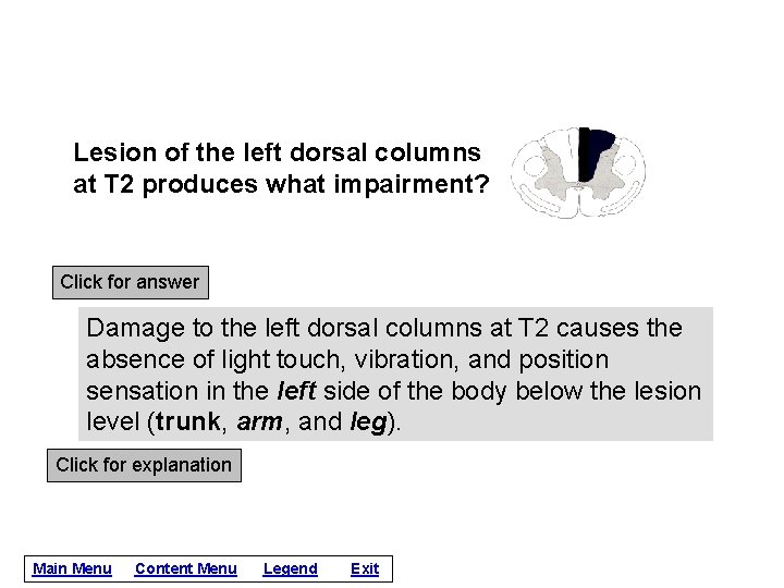 Lesion of the left dorsal columns at T 2 produces what impairment? Click for