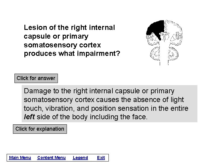 Lesion of the right internal capsule or primary somatosensory cortex produces what impairment? Click