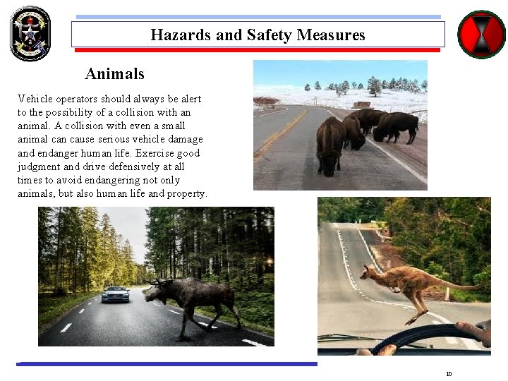 Hazards and Safety Measures Animals Vehicle operators should always be alert to the possibility