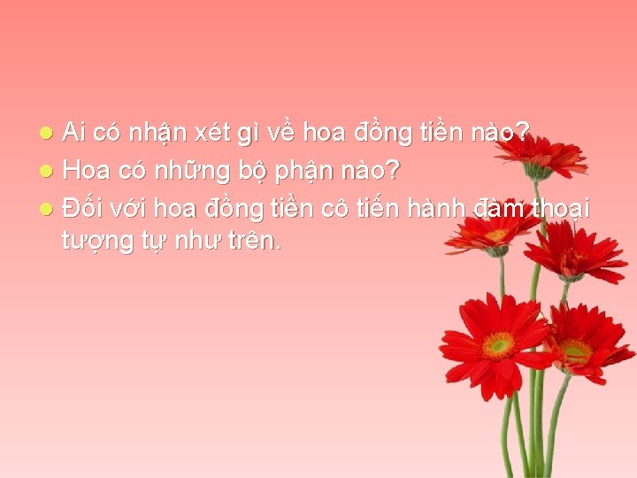 Ai có nhận xét gì về hoa đồng tiền nào? l Hoa có những