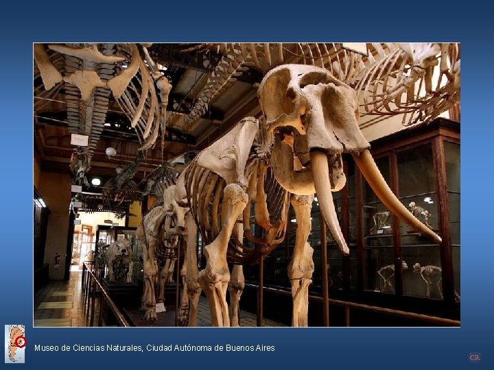 Museo de Ciencias Naturales, Ciudad Autónoma de Buenos Aires 