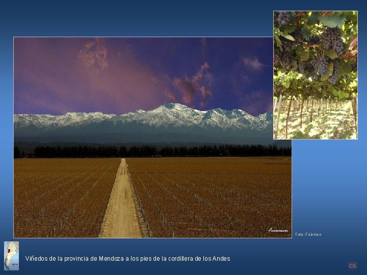 Foto: Fainmen Viñedos de la provincia de Mendoza a los pies de la cordillera