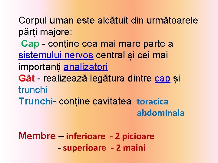 Corpul uman este alcătuit din următoarele părți majore: Cap - conține cea mai mare
